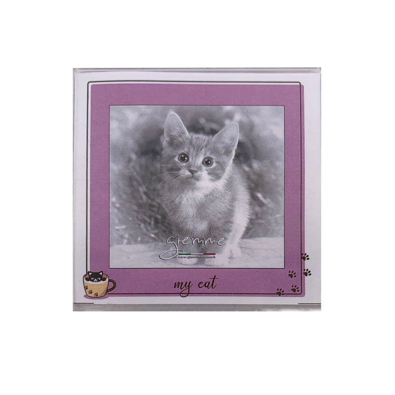 KRW248 CORNICE IN PLEXIGLAS CON CALAMITA