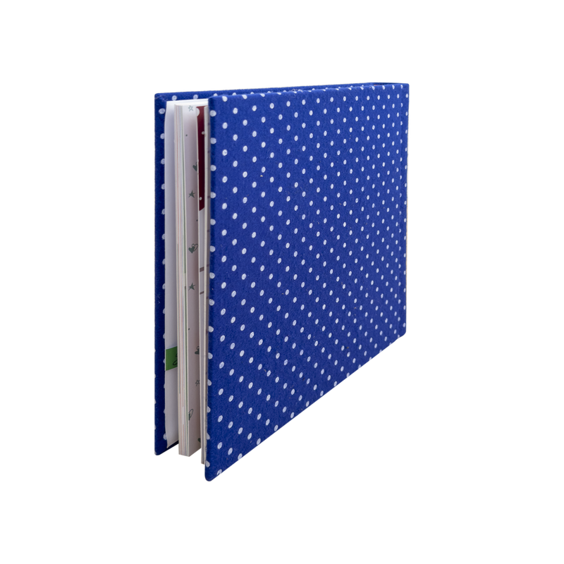 AB63-G album diarietto primo anno gufetto blu
