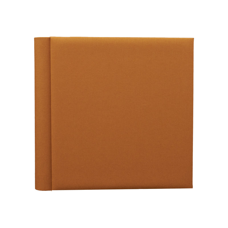 AG18-E-Cammello